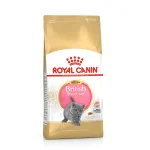 غذای خشک گربه رویال کنین مدل بریتیش شورت هیر کیتن (Royal Canin British Shorthair Kitten) | مناسب گربه های بریتیش مو کوتاه کیتن