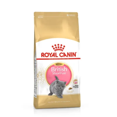 غذای خشک گربه رویال کنین مدل بریتیش شورت هیر کیتن (Royal Canin British Shorthair Kitten) | مناسب گربه های بریتیش مو کوتاه کیتن