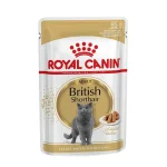 پوچ گربه رویال کنین بریتیش | Royal Canin British Shorthair Pouch
