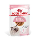 پوچ گربه رویال کنین کیتن مناسب بچه گربه | Royal canin pouch