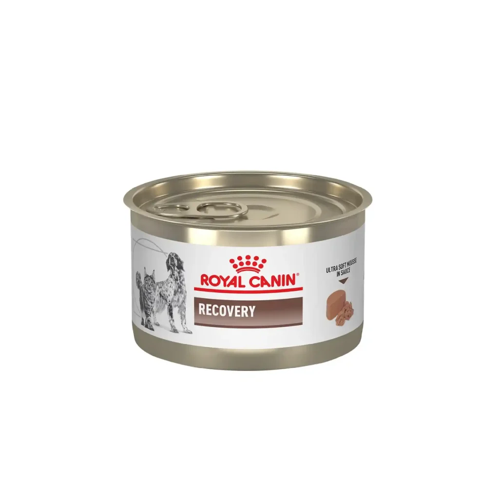 کنسرو گربه رویال کنین ریکاوری | Royal Canin Mother & Babycat