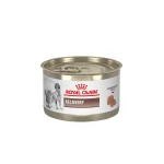 کنسرو گربه رویال کنین ریکاوری | Royal Canin Mother & Babycat